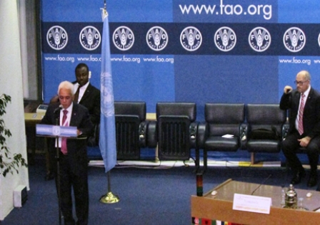 FAO Award, Hatta Rajasa Wakili RI Terima Penghargaan di Roma